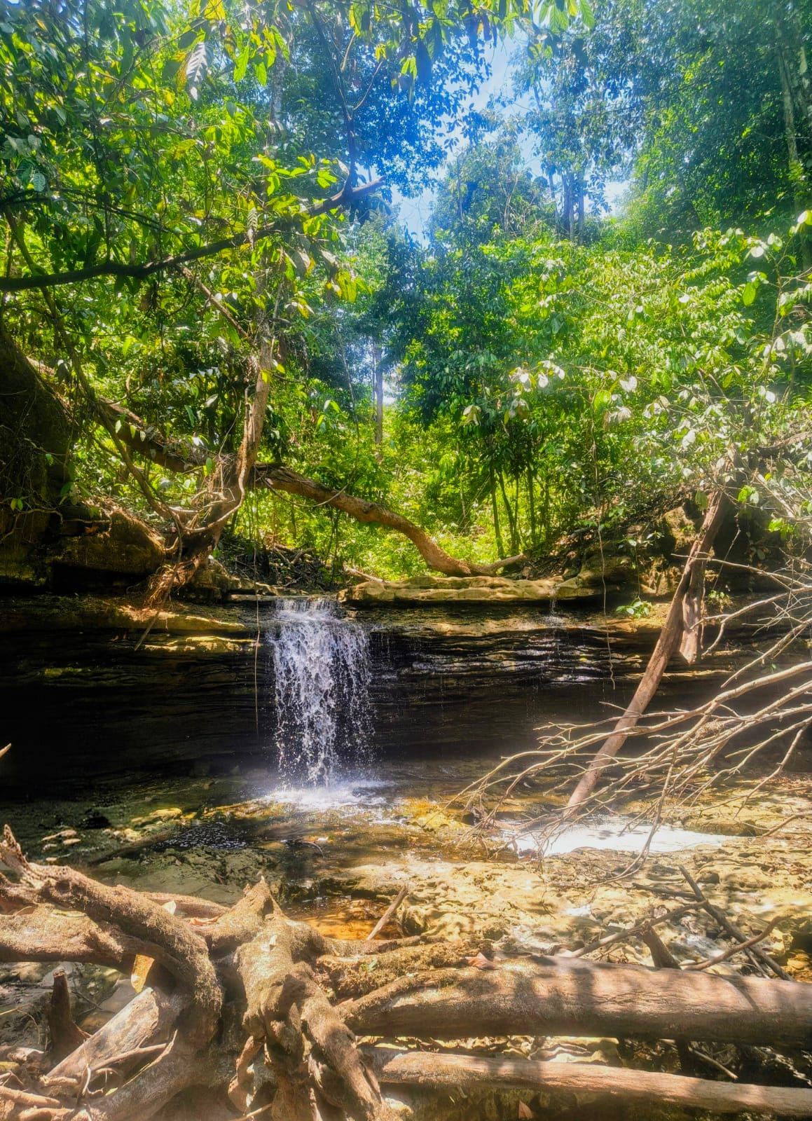 Pequena cachoeira sobre rochas no meio da mata