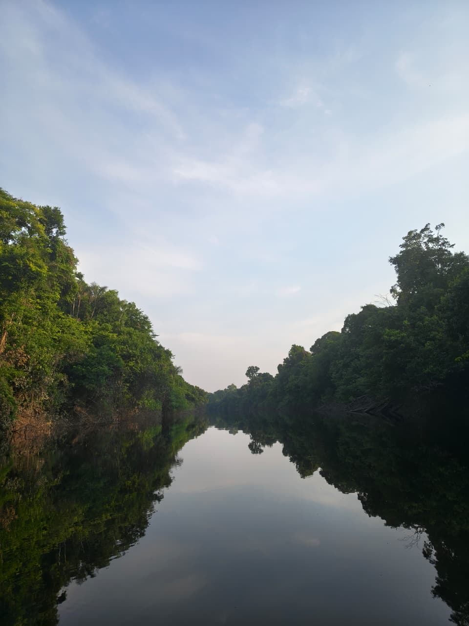 Paraná estreito entre ilhas de mata densa
