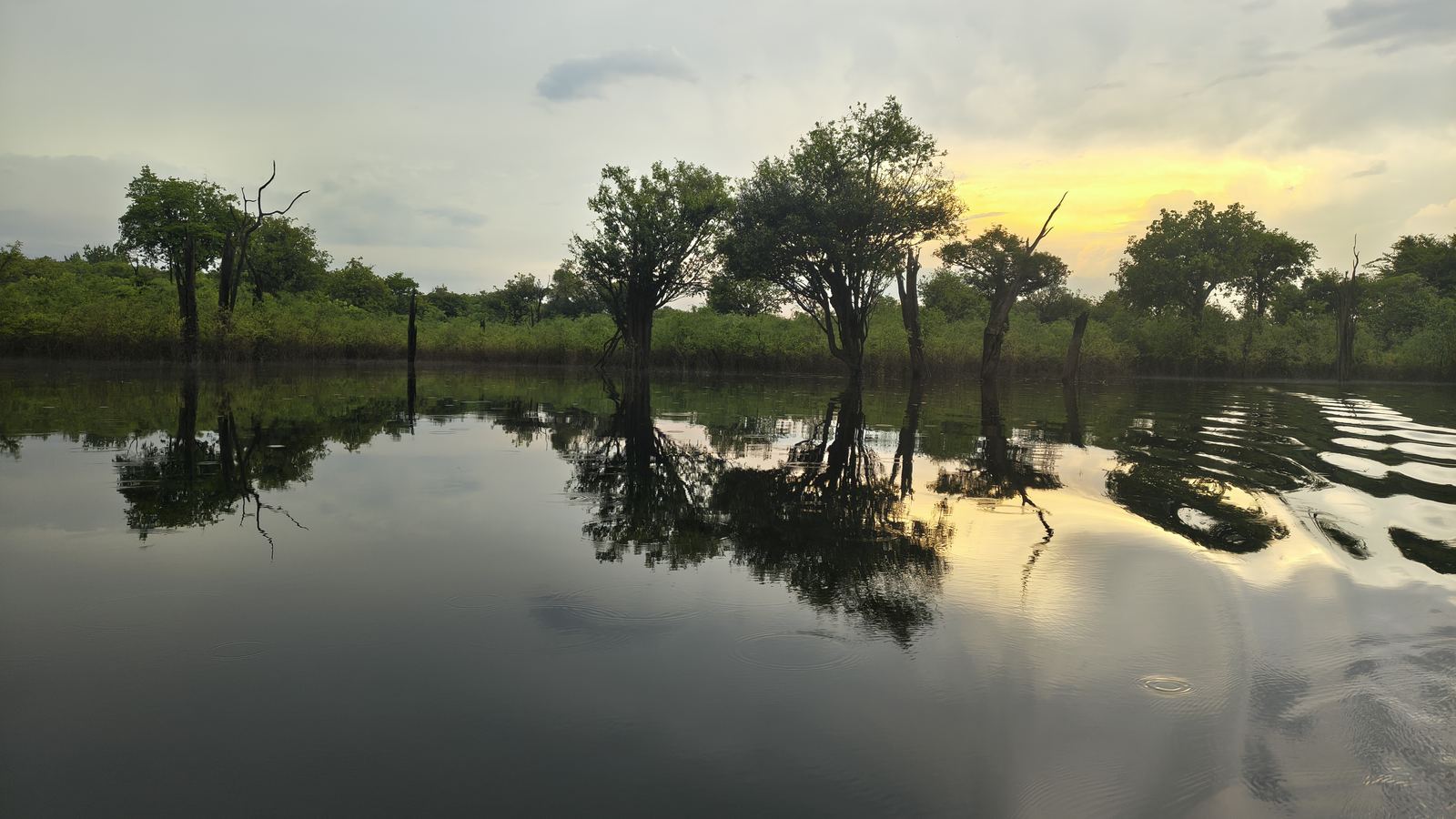 Árvores refletidas no rio ao entardecer
