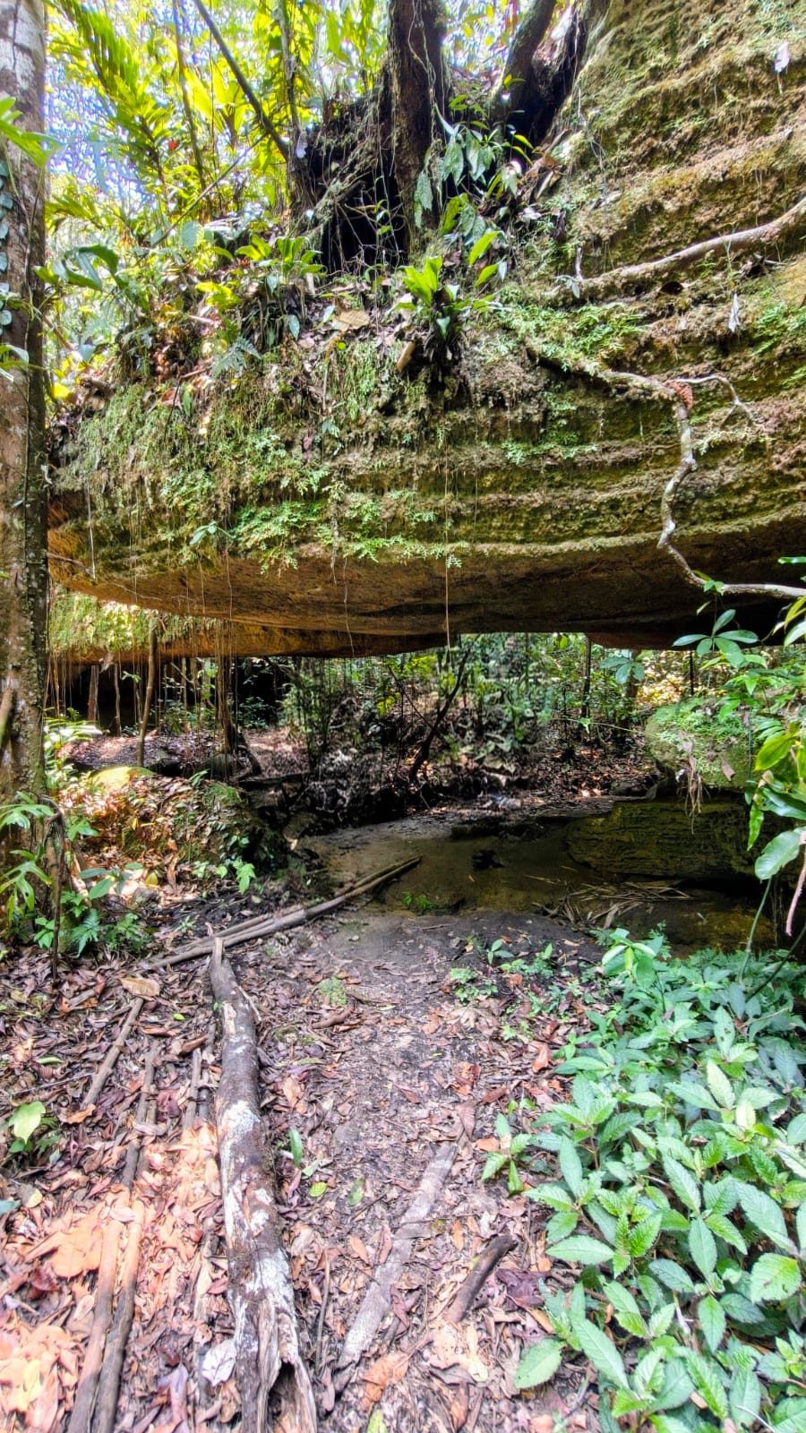 Grande laje de pedra coberta de musgo nas Grutas do Madadá, com a trilha passando por baixo