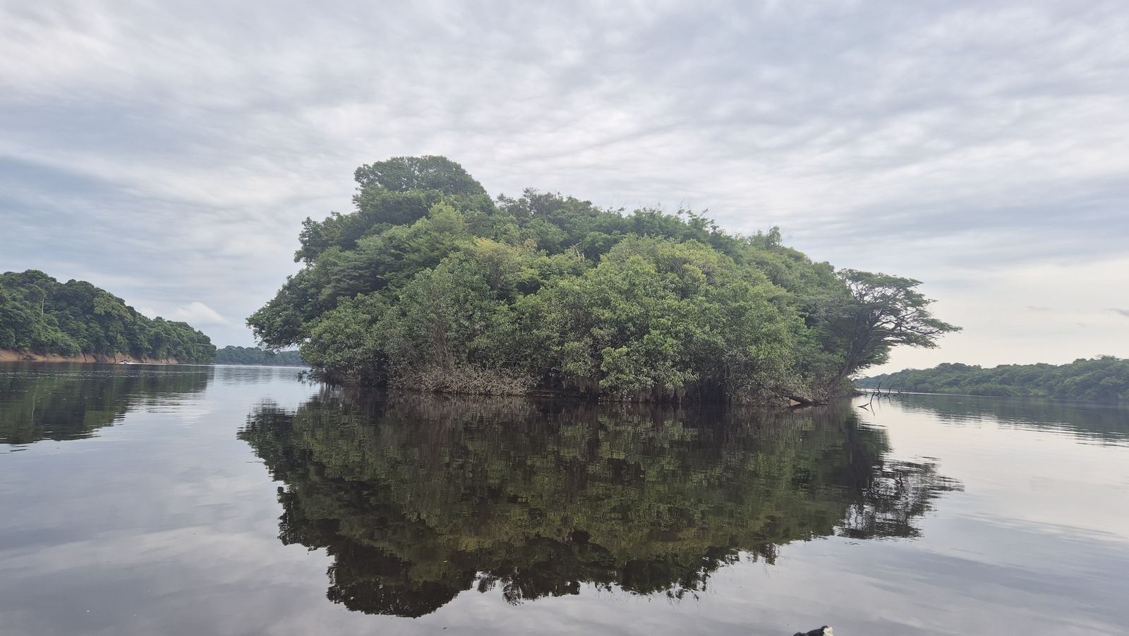 Ilha do arquipélago de Anavilhanas refletida no Rio Negro