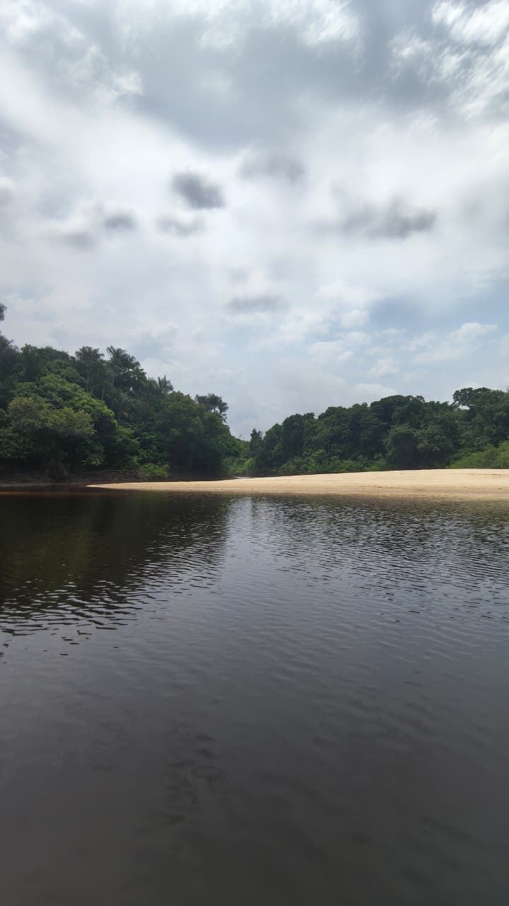 Praia de areia clara às margens de águas escuras